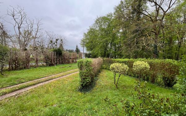 Maison à louer    4 pièces • 104,40 m2 La Ferté-Saint-Cyr