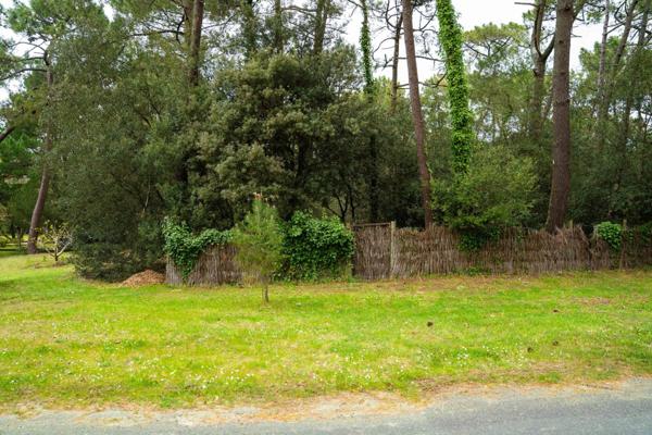 BEAU TERRAIN DE 1550 M2 PARC DE LA RESIDENCE A LA PALMYRE