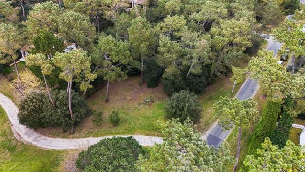 BEAU TERRAIN DE 1550 M2 PARC DE LA RESIDENCE A LA PALMYRE