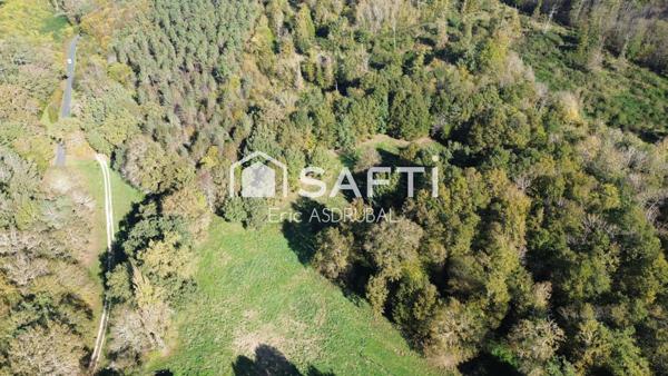Maison périgourdine avec maison d'amis.24550 Villefranche du Périgord