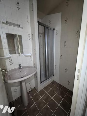 CERGY les Touleuses BRUNES