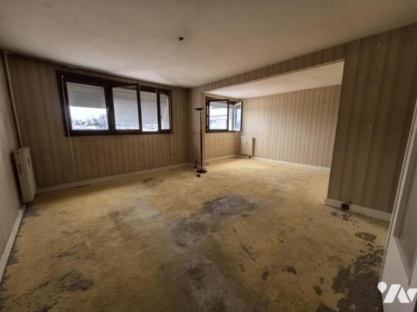 CERGY les Touleuses BRUNES