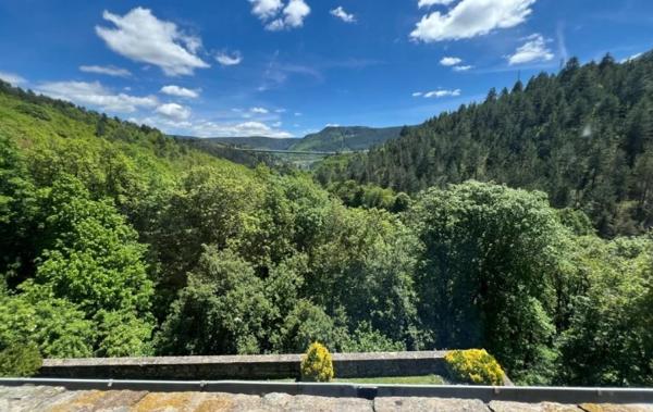 Vente Propriété Demeure Mende   