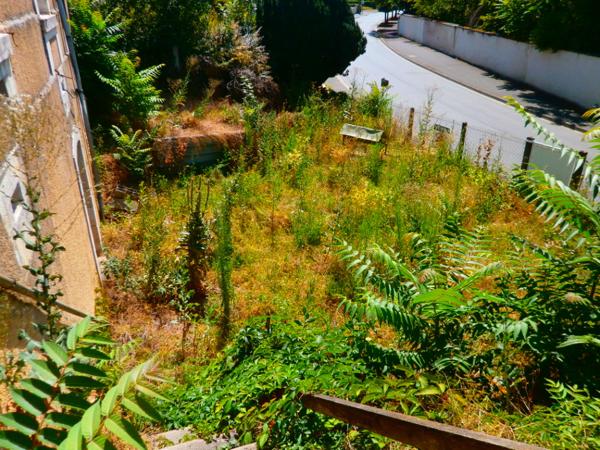 MAISON 3 PIECES + GARAGE + JARDIN + PUITS Issoudun (36100)