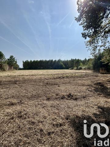 Maison à vendre 5 pièces 125 m² Rion-des-Landes