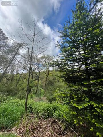 Achat - Terrain de loisirs, bois, étangs Châteauneuf-du-Faou 29520 38444 m 2