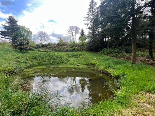 Achat - Terrain de loisirs, bois, étangs Châteauneuf-du-Faou 29520 38444 m 2