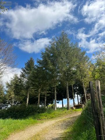 Achat - Terrain de loisirs, bois, étangs Châteauneuf-du-Faou 29520 38444 m 2