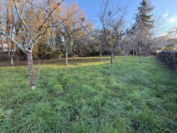 Beau Terrain de 800 m² Saint Benoit