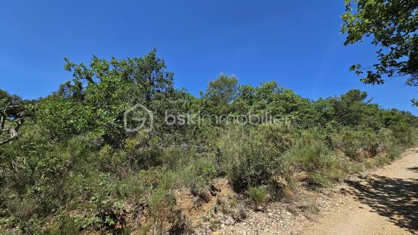 À vendre – Terrain non constructible

Venez découvrir cette belle parcelle de terrain en nature de bois d’environ 14 570 m², située dans un environnement calme et naturel.

Ce terrain non constructible séduira les amoureux de nature et de tranquillité. Idéal pour loisirs, détente ou exploitation forestière.

Prix : 12 000 € HAI

Pour plus d’informations, contactez Fabienne Rigaud – BSK Immobilier.