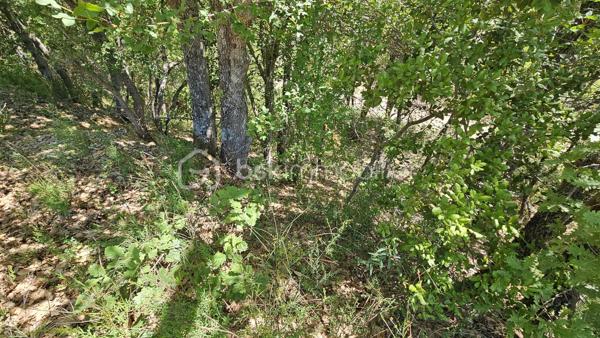 À vendre – Terrain non constructible

Venez découvrir cette belle parcelle de terrain en nature de bois d’environ 14 570 m², située dans un environnement calme et naturel.

Ce terrain non constructible séduira les amoureux de nature et de tranquillité. Idéal pour loisirs, détente ou exploitation forestière.

Prix : 12 000 € HAI

Pour plus d’informations, contactez Fabienne Rigaud – BSK Immobilier.