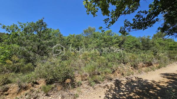 À vendre – Terrain non constructible

Venez découvrir cette belle parcelle de terrain en nature de bois d’environ 14 570 m², située dans un environnement calme et naturel.

Ce terrain non constructible séduira les amoureux de nature et de tranquillité. Idéal pour loisirs, détente ou exploitation forestière.

Prix : 12 000 € HAI

Pour plus d’informations, contactez Fabienne Rigaud – BSK Immobilier.