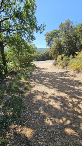 À vendre – Terrain non constructible

Venez découvrir cette belle parcelle de terrain en nature de bois d’environ 14 570 m², située dans un environnement calme et naturel.

Ce terrain non constructible séduira les amoureux de nature et de tranquillité. Idéal pour loisirs, détente ou exploitation forestière.

Prix : 12 000 € HAI

Pour plus d’informations, contactez Fabienne Rigaud – BSK Immobilier.