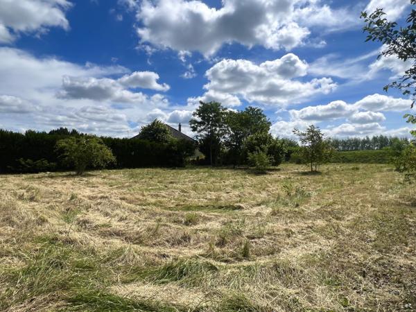 Chinon (37500) Beau terrain constructible de 1600 m2