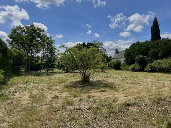 Chinon (37500) Beau terrain constructible de 1600 m2