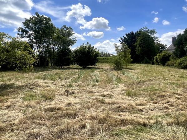 Chinon (37500) Beau terrain constructible de 1600 m2