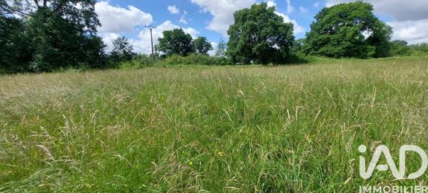 Terrain à vendre 8 771 m² Lépaud