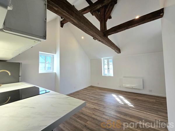 Location
                Appartement19,19 m² - 1 Pièce -
                    TOURS (37000)