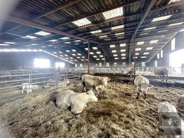 Vente Exploitation viticole à Noailly