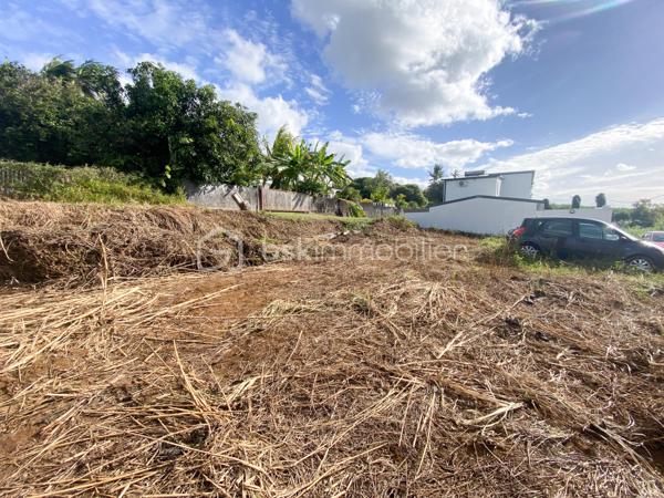 À VENDRE – Terrain viabilisé de 500 m² – Sainte-Suzanne – Quartier Bagatelle 

Vous recherchez un terrain prêt à bâtir pour réaliser votre projet de vie ou investir dans un secteur en plein développement ? Cette opportunité est faite pour vous !

Situé dans le quartier calme et recherché de Bagatelle à Sainte-Suzanne, ce terrain plat de 500 m², entièrement viabilisé et raccordé au tout-à-l'égout, offre un cadre idéal pour concrétiser votre projet immobilier dans les meilleures conditions.

Classé en zone UB, il bénéficie d'un règlement d'urbanisme permettant une hauteur de construction jusqu'à 9 mètres à l'égout et 12 mètres au faîtage, offrant de belles possibilités de conception pour votre future habitation ou un projet d'investissement.

Les atouts du terrain :

✅ Surface de 500 m²
✅ Terrain plat, prêt à construire
✅ Entièrement viabilisé (eau, électricité, télécommunications)
✅ Raccordement au tout-à-l'égout
✅ Zone UB
✅ Hauteur autorisée : 9 m à l'égout et 12 m au faîtage
✅ Quartier résidentiel calme et agréable
✅ Proximité des écoles, commerces, services et principaux axes routiers

Un projet qui s'adapte à vos envies

Que vous souhaitiez construire votre résidence principale dans un environnement paisible ou réaliser un investissement locatif, ce terrain offre de nombreuses possibilités.

Sous réserve du respect de la réglementation en vigueur et de votre situation fiscale, ce projet peut également être éligible à certains dispositifs d'investissement en Outre-mer, notamment au crédit d'impôt prévu à l'article 244 quater W du Code général des impôts, permettant d'optimiser votre investissement. Un accompagnement pourra vous être proposé afin d'étudier votre éligibilité.

Ne laissez pas passer cette belle opportunité de construire un projet à votre image dans un secteur recherché de Sainte-Suzanne.

📞 Contactez-moi dès aujourd'hui pour obtenir plus d'informations ou organiser une visite.