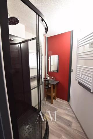 T2 60 m² avec 1 remise de 40 m² et cour