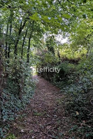 Maison 4 pièces - 104 m² Exclusivité efficity