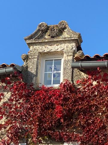 Vente maison Angouleme (16000), 330.00m² avec 10 pièce(s) dont 8 chambre(s) sur 400.00m² de terrain. Agence Allard Brimeaud