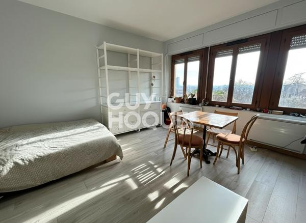 Idéal investisseur - Studio rénové et meublé - vue dégagée sur le Rhône