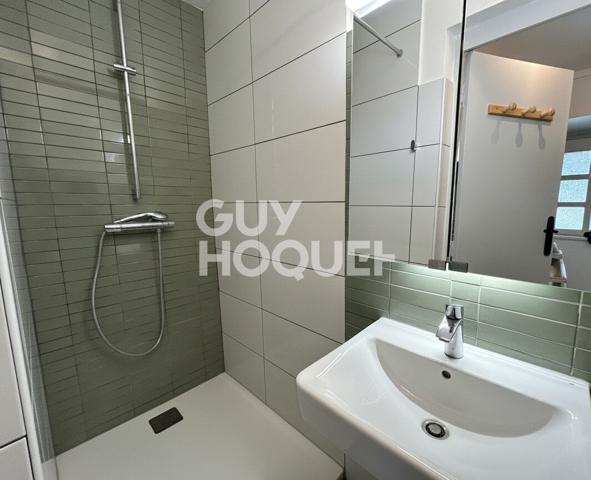 Idéal investisseur - Studio rénové et meublé - vue dégagée sur le Rhône