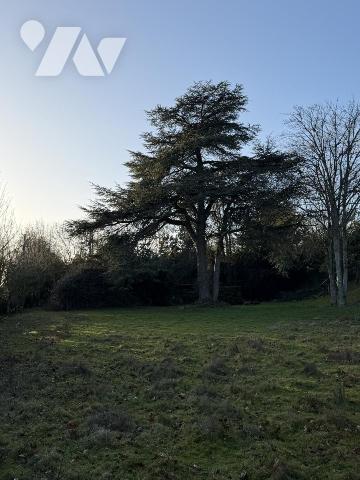 maison de 130m² sur 4000m² de terrain.