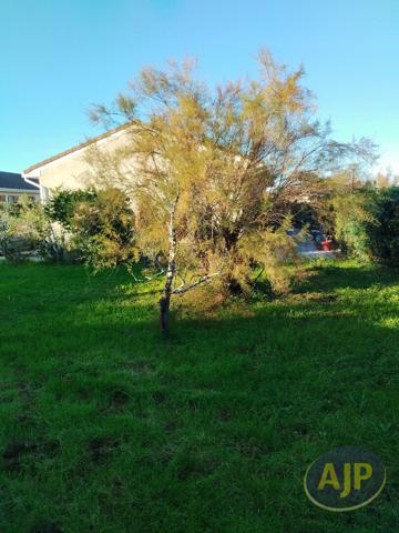 Vente maison Pauillac : 182 000 € - AJP Pauillac Immobilier