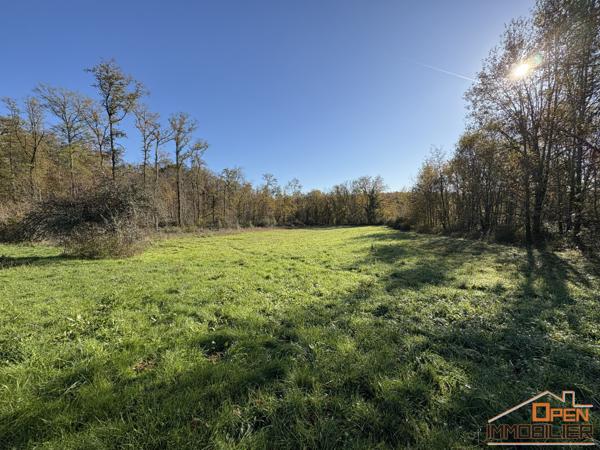 Terrain 52 774m²