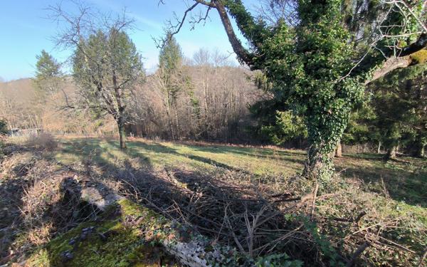 Maison à vendre    2 pièces •  Laguenne