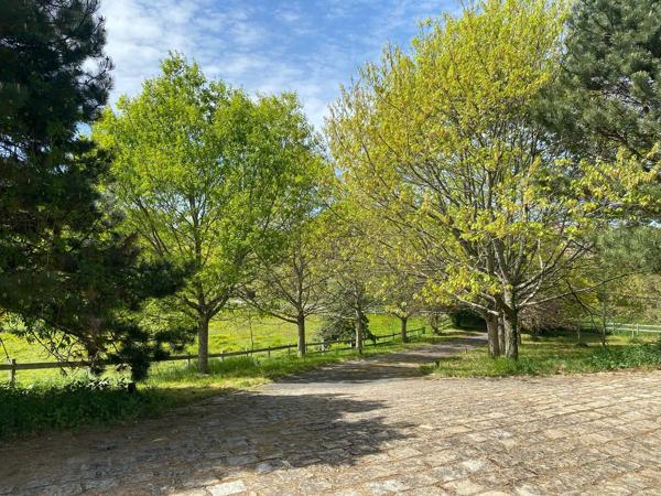 Propriété d’exception avec plus de 3 hectares au Dorat