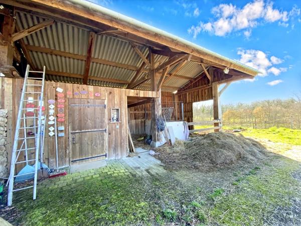 Propriété d’exception avec plus de 3 hectares au Dorat
