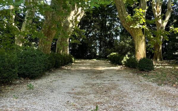 Maison à vendre    2 pièces •  Pierrelatte