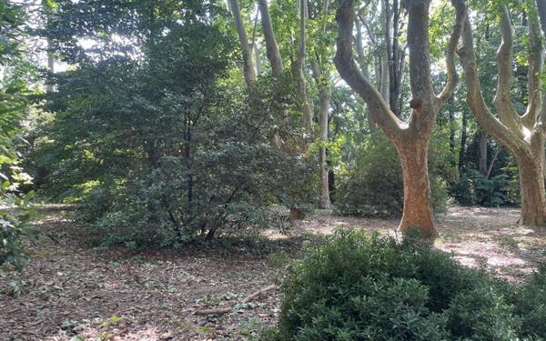 Maison à vendre    2 pièces •  Pierrelatte