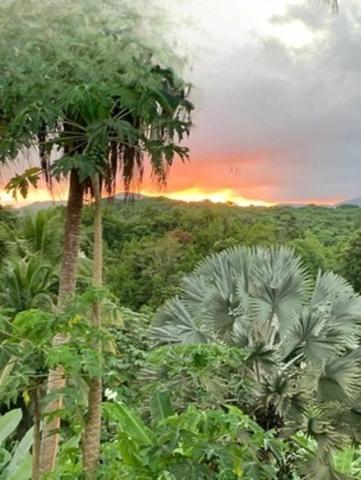 RARE, LA LEZARDE, VILLA VUE MONTAGNE 3CH 3SDE + 2 STUDIOS PISCINE 1700 M² DE TERRAIN