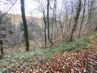 Terrain de loisirs - Bois - Etang à vendre à Neuvéglise-sur-Truyère dans le Cantal (15260), ref : 044/1243