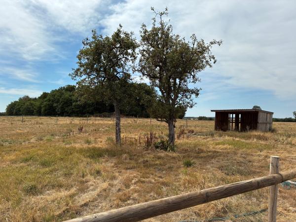 Maison rénovée 160 m2 sur terrain de plus de 2 hectares !