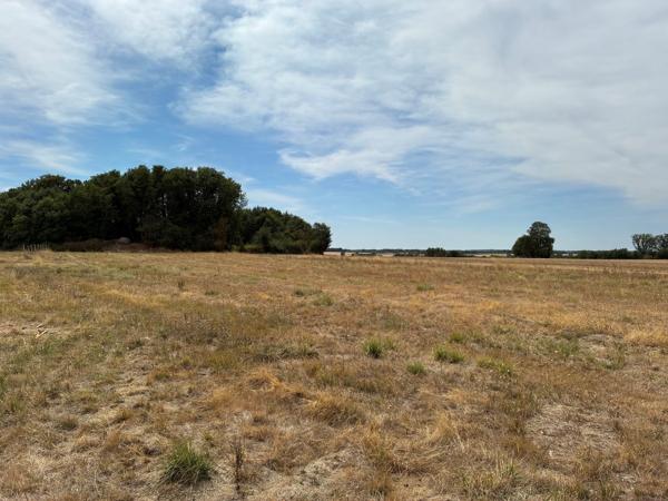 Maison rénovée 160 m2 sur terrain de plus de 2 hectares !