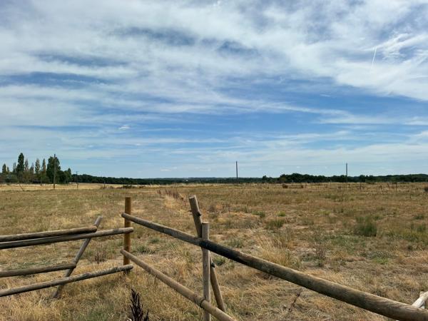 Maison rénovée 160 m2 sur terrain de plus de 2 hectares !
