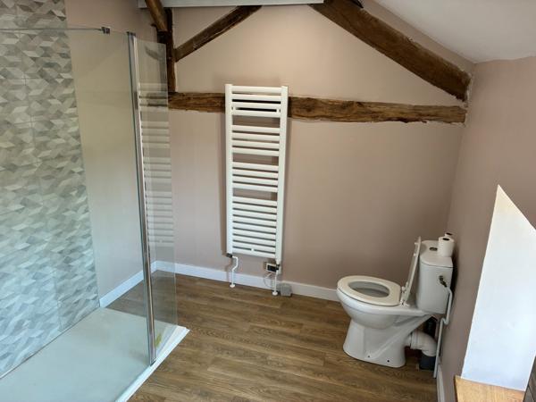 Maison rénovée 160 m2 sur terrain de plus de 2 hectares !