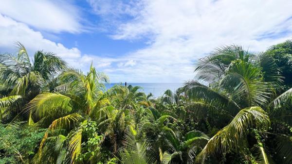 Rare avec terrasse parking vue mer