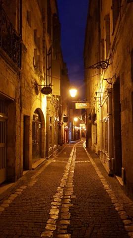 Appartement hyper centre Périgueux 95 m2 dans hôtel particulier