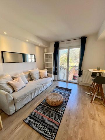 Appartement Toulouse 1 pièce(s)