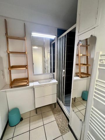 Appartement Toulouse 1 pièce(s)