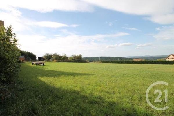 terrain à vendre 1475 m2 ST QUINTIN SUR SIOULE - 63