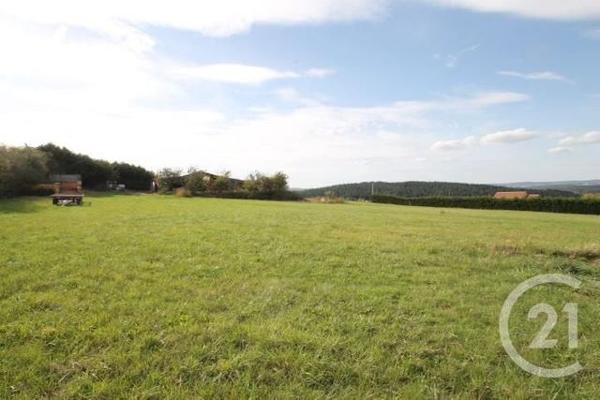 terrain à vendre 1475 m2 ST QUINTIN SUR SIOULE - 63