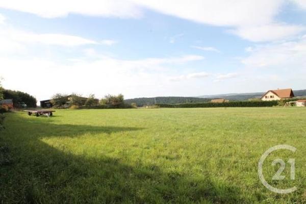 terrain à vendre 1475 m2 ST QUINTIN SUR SIOULE - 63